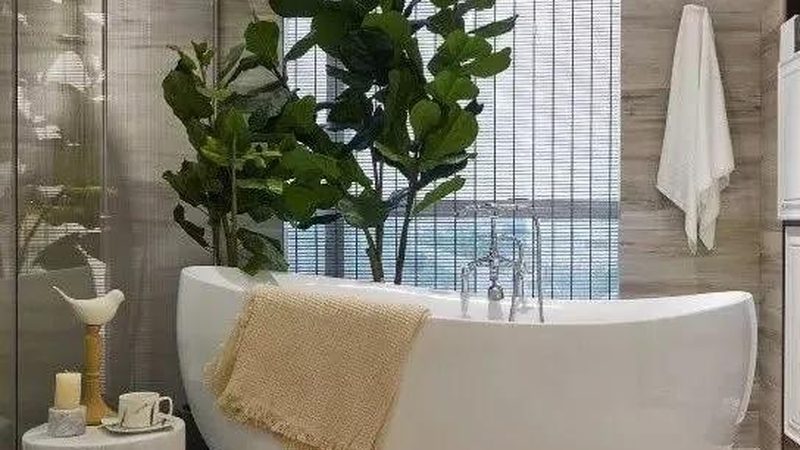 无水箱马桶节水标准揭秘：如何选择更环保的卫浴产品**